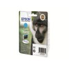 EPSON Singlepack Cyan T0892 DURABrite Ultra Ink